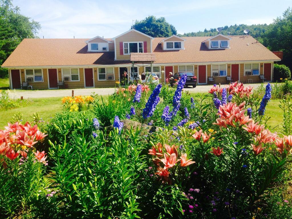 Vintage Motel Wilmington Bagian luar foto